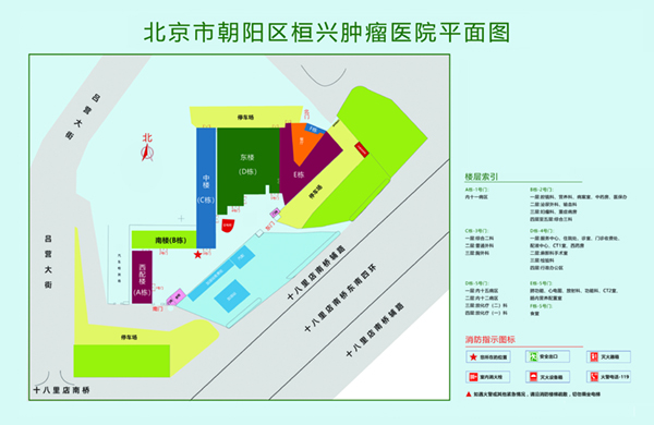 黑鸡巴操穴最新网址北京市朝阳区桓兴肿瘤医院平面图